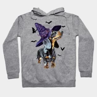 Halloween Witch Dachshund Funny Halloween Gifts Hoodie